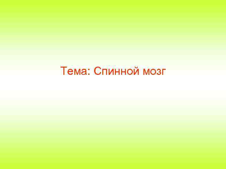Тема: Спинной мозг 