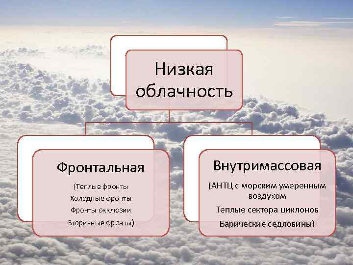 Низкая облачность Фронтальная Внутримассовая (Теплые фронты Холодные фронты Фронты окклюзии (АНТЦ с морским умеренным