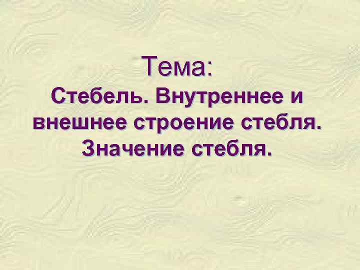 Тема: Стебель. Внутреннее и внешнее строение стебля. Значение стебля. 
