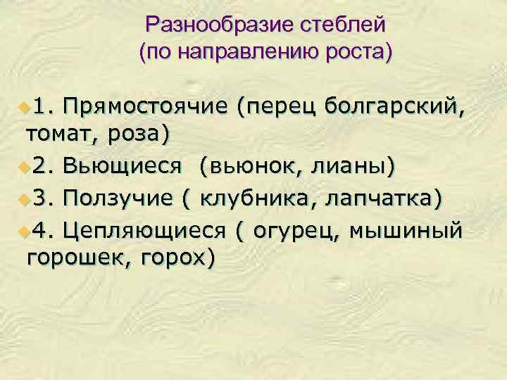 Разнообразие стеблей (по направлению роста) u 1. Прямостоячие (перец болгарский, томат, роза) u 2.