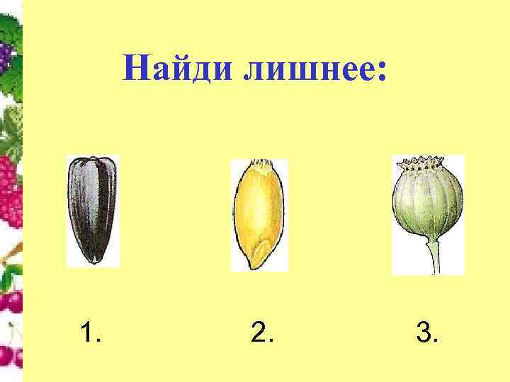 Найди лишнее: 1. 2. 3. 