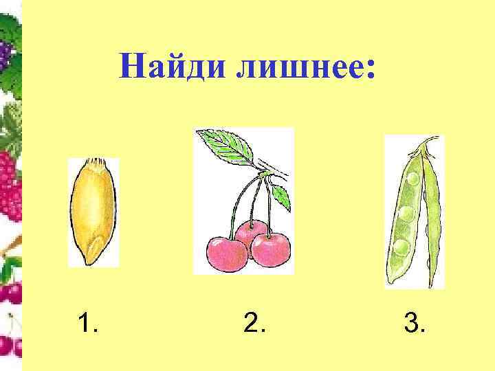 Найди лишнее: 1. 2. 3. 