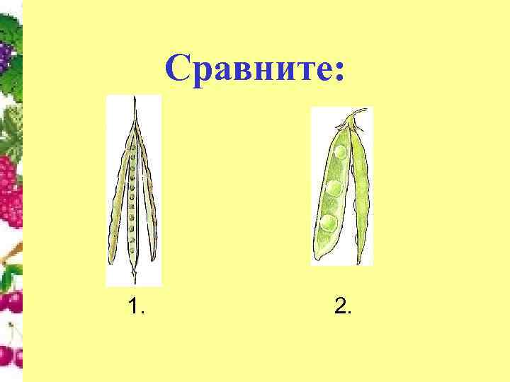 Сравните: 1. 2. 