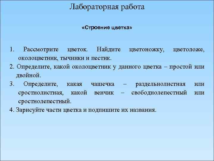 Лабораторная работа «Строение цветка» 1. Рассмотрите цветок. Найдите цветоножку, цветоложе, околоцветник, тычинки и пестик.