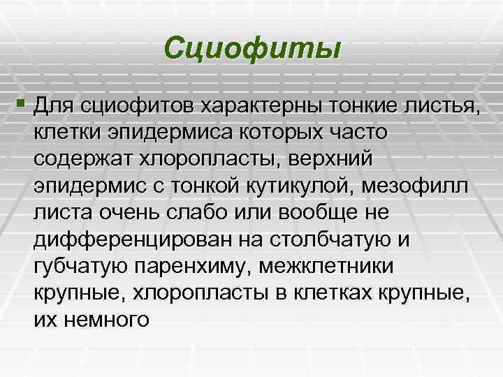 Часто содержать. Особенности сциофитов. Сциофиты приспособления. Сциофиты примеры растений. Сциофиты морфологические особенности.