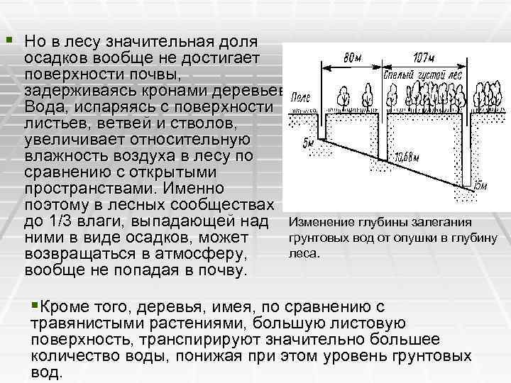 Почва как абиотический фактор презентация