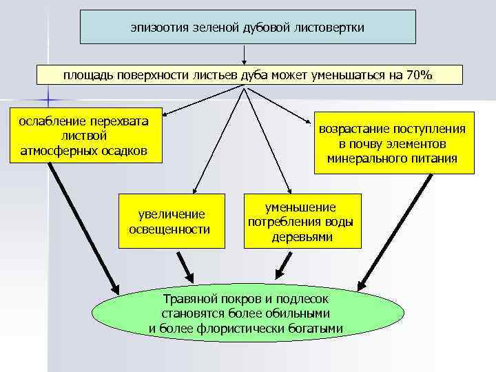 эпизоотия зеленой дубовой листовертки площадь поверхности листьев дуба может уменьшаться на 70% ослабление перехвата