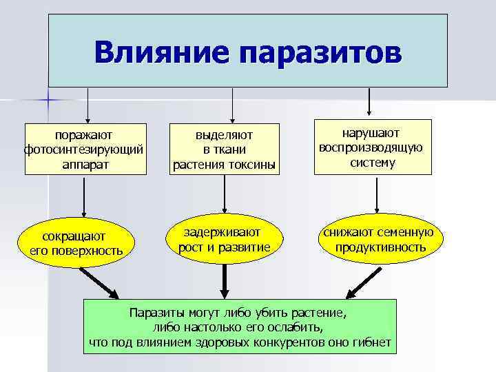 Влияние паразитов поражают фотосинтезирующий аппарат сокращают его поверхность выделяют в ткани растения токсины задерживают