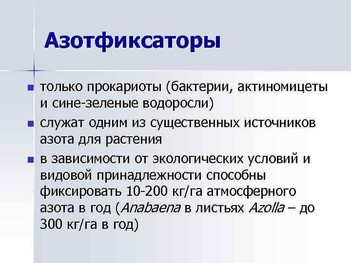 Азотфиксаторы n n n только прокариоты (бактерии, актиномицеты и сине-зеленые водоросли) служат одним из