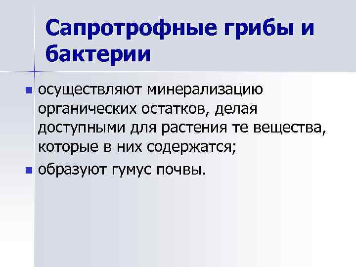 Сапротрофные грибы и бактерии осуществляют минерализацию органических остатков, делая доступными для растения те вещества,
