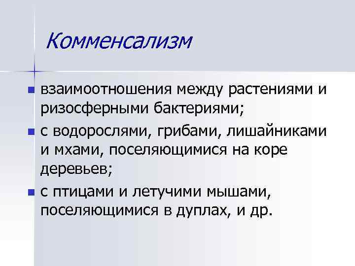 Комменсализм взаимоотношения между растениями и ризосферными бактериями; n с водорослями, грибами, лишайниками и мхами,