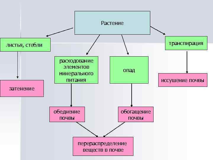 На какие отрасли делится растениеводство заполни схему