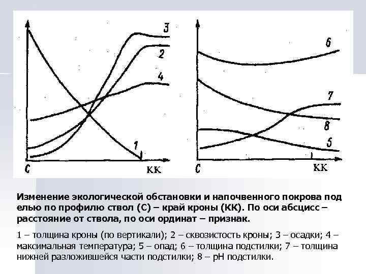 Изменение экологической обстановки и напочвенного покрова под елью по профилю ствол (С) – край
