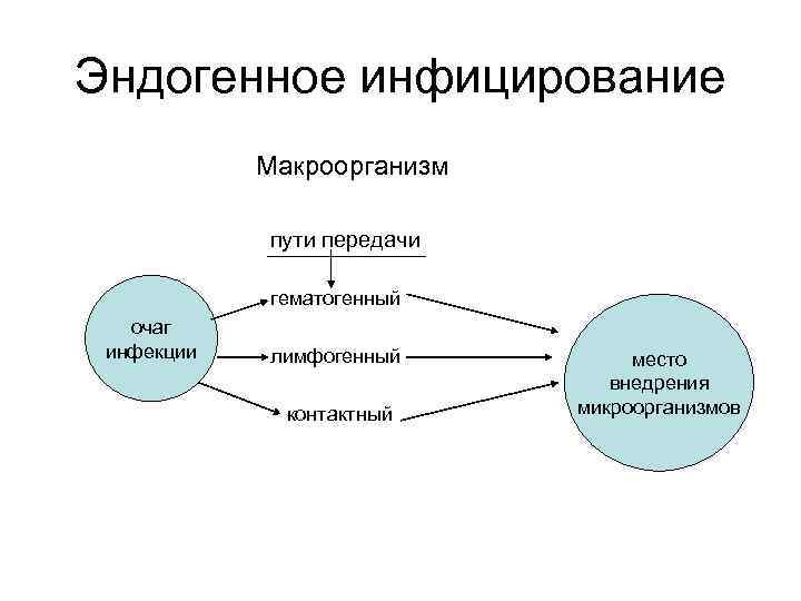 Эндогенное инфицирование Макроорганизм пути передачи гематогенный очаг инфекции лимфогенный контактный место внедрения микроорганизмов 