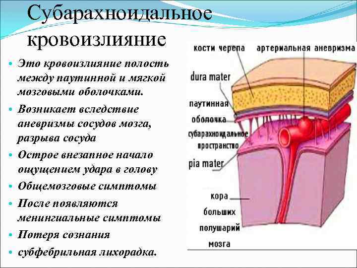 Субарахноидальное кровоизлияние • Это кровоизлияние полость между паутинной и мягкой мозговыми оболочками. • Возникает