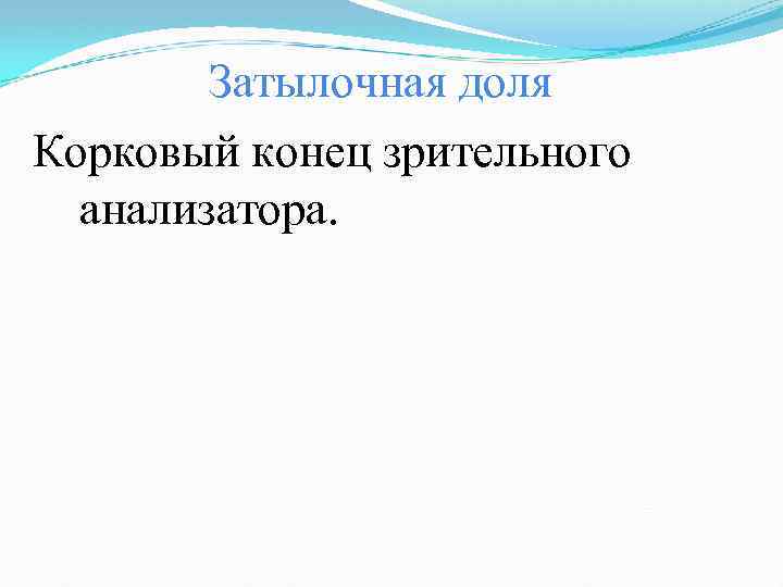 Затылочная доля Корковый конец зрительного анализатора. 
