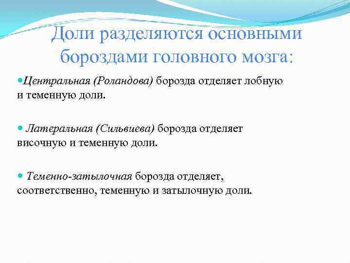 Доли разделяются основными бороздами головного мозга: Центральная (Роландова) борозда отделяет лобную и теменную доли.