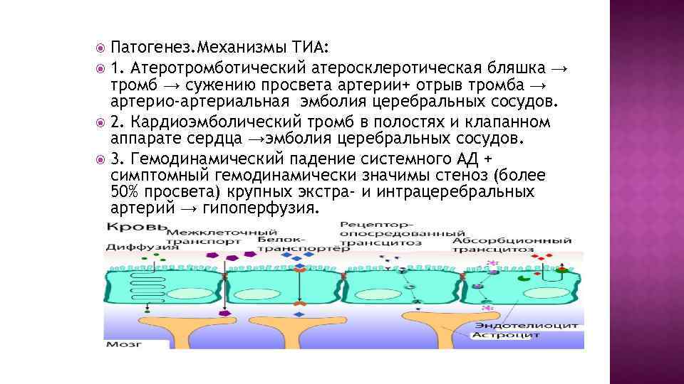 Патогенез. Механизмы ТИА: 1. Атеротромботический атеросклеротическая бляшка → тромб → сужению просвета артерии+ отрыв