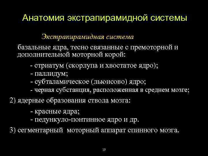 Анатомия экстрапирамидной системы Экстрапирамидная система включает: 1) базальные ядра, тесно связанные с премоторной и