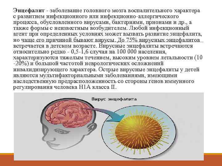 Энцефалит - заболевание головного мозга воспалительного характера с развитием инфекционного или инфекционно-аллергического процесса, обусловленного