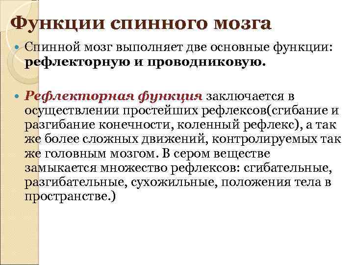 Функции спинного мозга Спинной мозг выполняет две основные функции: рефлекторную и проводниковую. Рефлекторная функция
