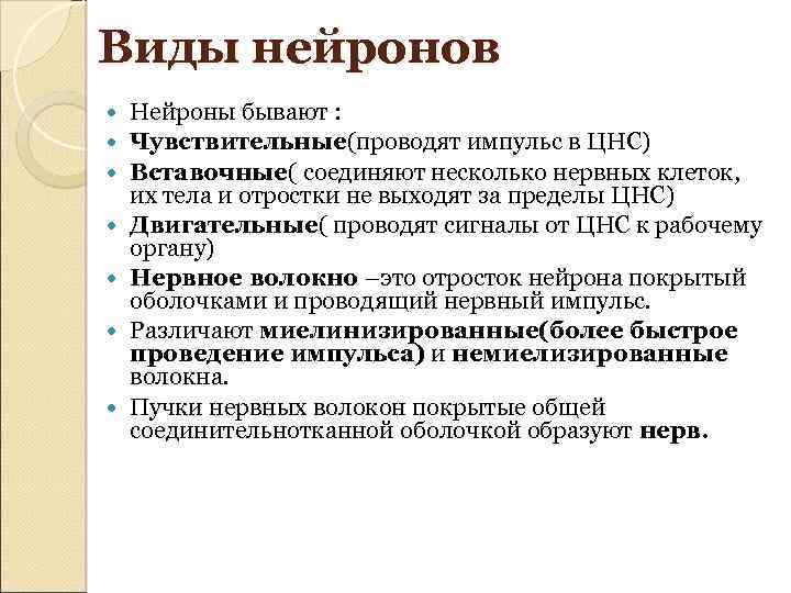 Виды нейронов Нейроны бывают : Чувствительные(проводят импульс в ЦНС) Вставочные( соединяют несколько нервных клеток,