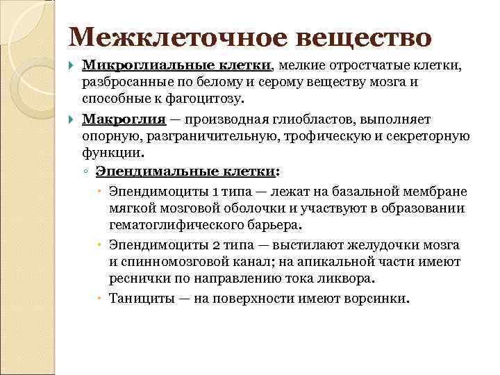 Межклеточное вещество Микроглиальные клетки, мелкие отростчатые клетки, разбросанные по белому и серому веществу мозга