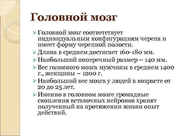 Головной мозг Ø Головной мозг соответствует индивидуальным конфигурациям черепа и имеет форму черепной полости.
