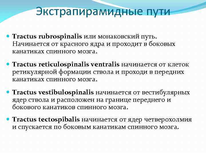 Экстрапирамидные пути Tractus rubrospinalis или монаковский путь. Начинается от красного ядра и проходит в