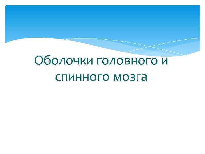 Оболочки головного и спинного мозга 