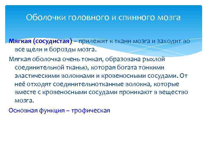 Оболочки головного и спинного мозга Мягкая (сосудистая) – прилежит к ткани мозга и заходит