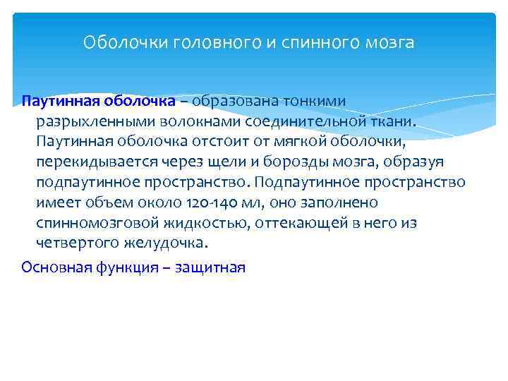 Оболочки головного и спинного мозга Паутинная оболочка – образована тонкими разрыхленными волокнами соединительной ткани.