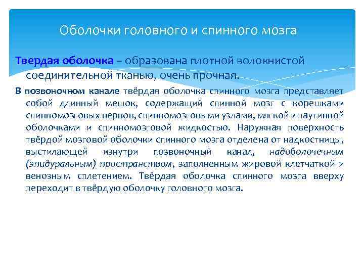 Оболочки головного и спинного мозга Твердая оболочка – образована плотной волокнистой соединительной тканью, очень