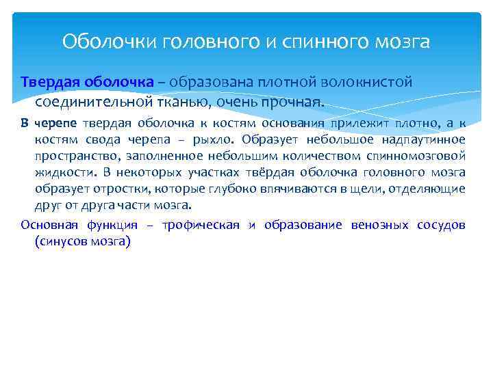 Оболочки головного и спинного мозга Твердая оболочка – образована плотной волокнистой соединительной тканью, очень