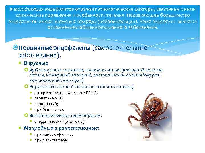 Классификация энцефалитов отражает этиологические факторы, связанные с ними клинические проявления и особенности течения. Подавляющее