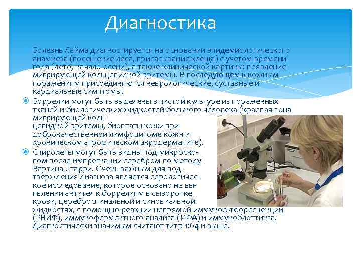 Диагностика Болезнь Лайма диагностируется на основании эпидемиологического анамнеза (посещение леса, присасывание клеща) с учетом