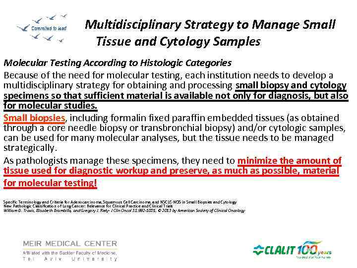 Multidisciplinary Strategy to Manage Small Tissue and Cytology Samples Molecular Testing According to Histologic