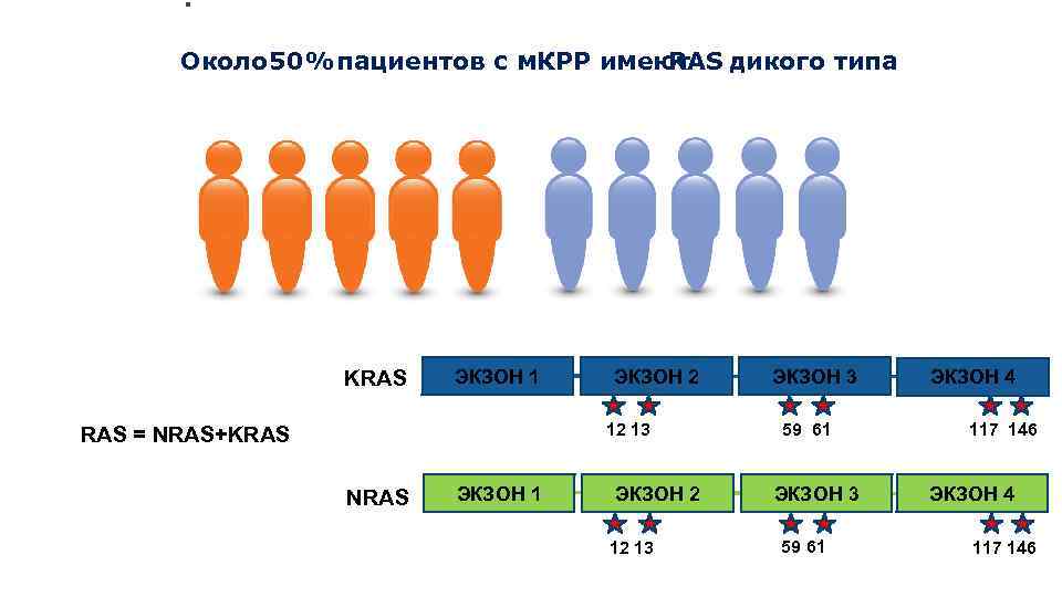 Около 0% 5 пациентов с м. КРР имеют RAS дикого типа KRAS ЭКЗОН 1