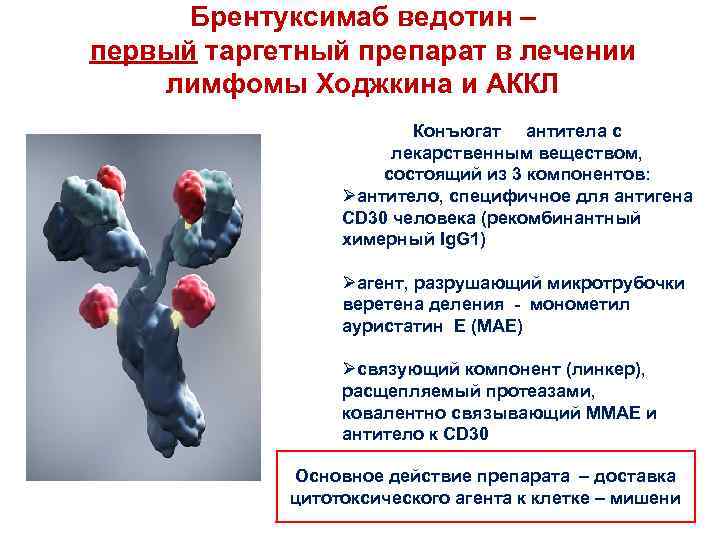 Брентуксимаб ведотин – первый таргетный препарат в лечении лимфомы Ходжкина и АККЛ Конъюгат антитела