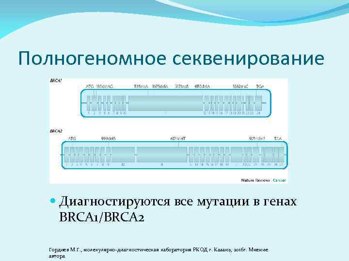 Полногеномное секвенирование Диагностируются все мутации в генах BRCA 1/BRCA 2 Гордиев М. Г. ,