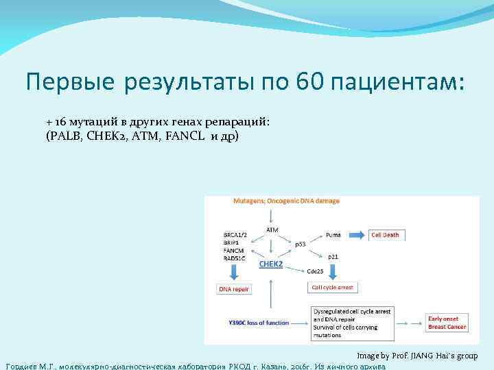 Первые результаты по 60 пациентам: + 16 мутаций в других генах репараций: (PALB, CHEK
