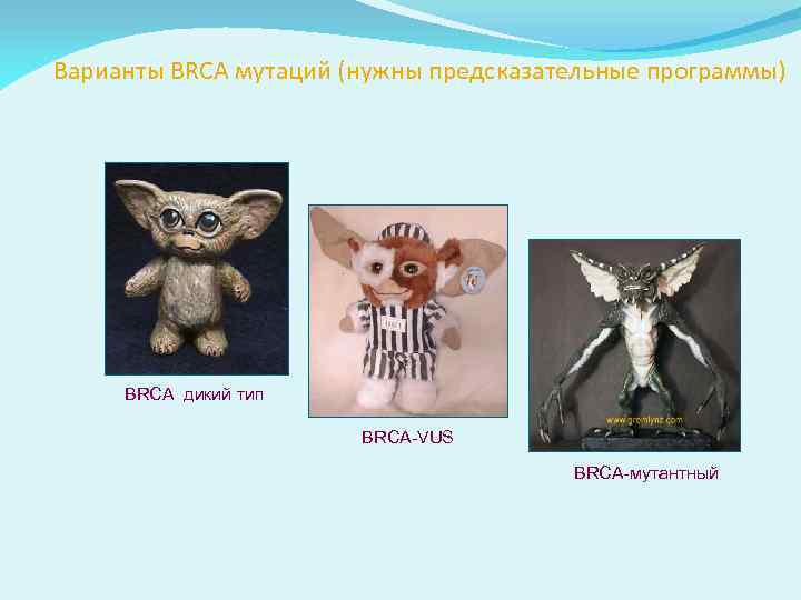  Варианты BRCA мутаций (нужны предсказательные программы) BRCA дикий тип BRCA-VUS BRCA-мутантный 