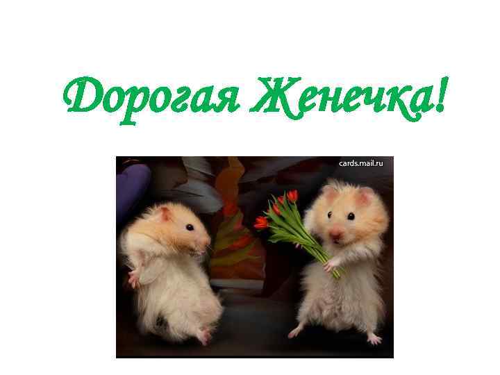 Дорогая Женечка! деления ДФ АКБ «Форум» 