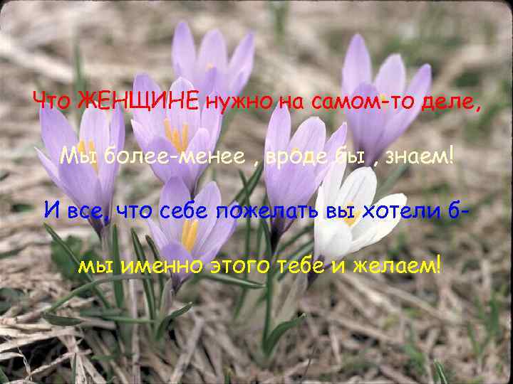 Что ЖЕНЩИНЕ нужно на самом-то деле, Мы более-менее , вроде бы , знаем! И