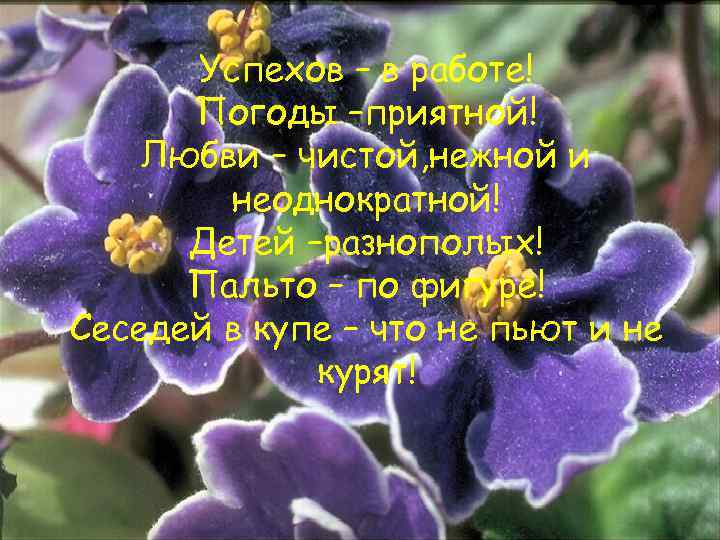 Успехов – в работе! Погоды –приятной! Любви – чистой, нежной и неоднократной! Детей –разнополых!
