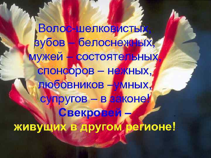 Волос-шелковистых, зубов – белоснежных, мужей – состоятельных, спонсоров – нежных, любовников –умных, супругов –