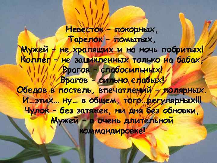 Невесток – покорных, Тарелок – помытых, Мужей – не храпящих и на ночь побритых!