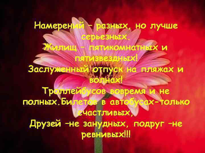 Намерений – разных, но лучше серьезных. Жилищ – пятикомнатных и пятизвездных! Заслуженный отпуск на