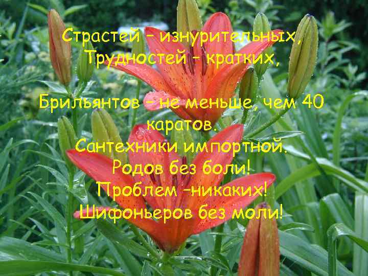 Страстей – изнурительных, Трудностей – кратких, Брильянтов – не меньше, чем 40 каратов. Сантехники