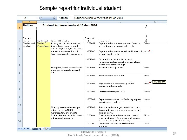 Sample report for individual student The Maths Tracker : The Schools Development Group (2014)